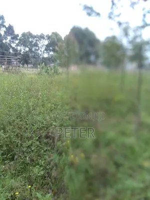 1/4 Acre Farmland in Nyandarua County