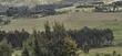 Arable Farmland for Sale - Kaimbaga - 1