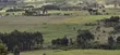 Arable Farmland for Sale - Kaimbaga - 4