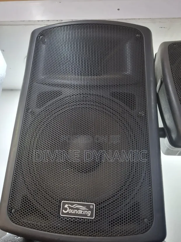 Soundking 12-Inch Mid-Range Speaker - 1