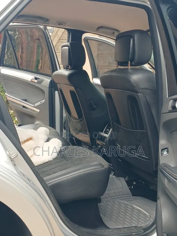 Mercedes-Benz M Class 2010 Silver - 1