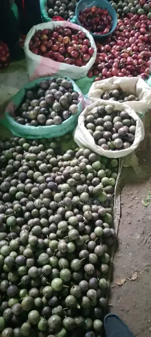 Fresh Passion Fruits for Sale