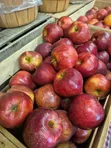 Del Monte Apples - 10kg - 1