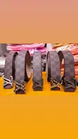 Classic Louis Vuitton & Gucci Belts - 4
