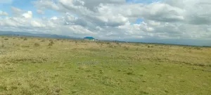 Nanyuki Akiba Gardens - Land for Sale