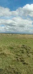 Nanyuki Akiba Gardens - Ardhi kwa Ajili ya Kuuzwa - 3