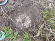 Malindi Akiba Gardens - Eka 30 za Kilimo - 2