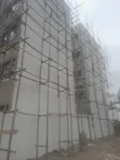 Smartwall Wallmast Texture Paint (30kg Ndovu) - 3