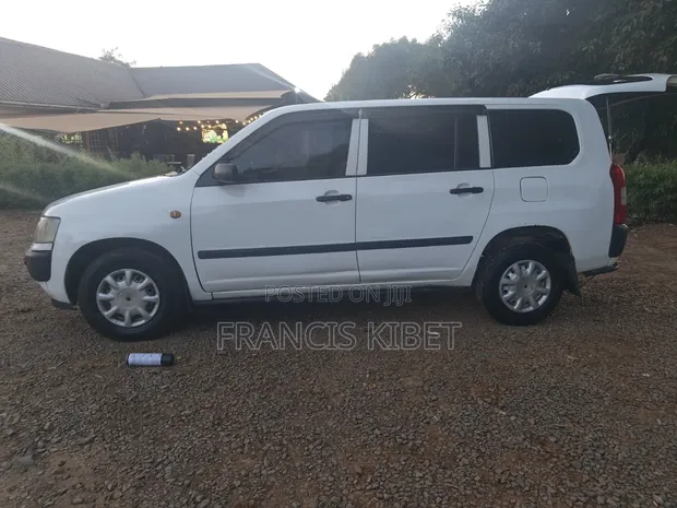 Toyota Probox 1.5 F 2WD 2009 White - 1