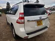 Toyota Land Cruiser Prado 2012 Rangi ya Pearl - 4