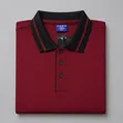 Premium Unisex Polo T-Shirts - 2