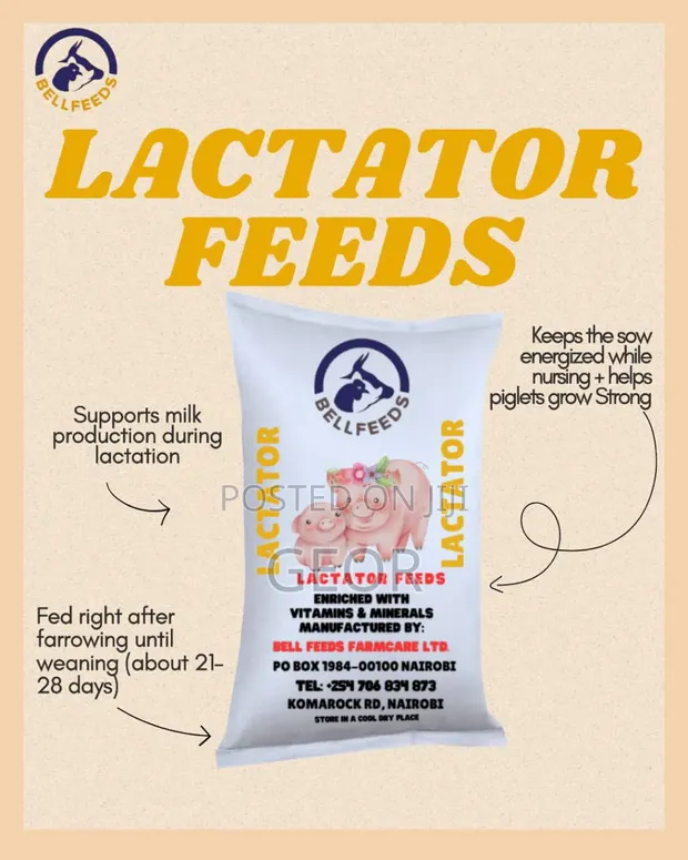 Bellfeeds Lactactor Pig Feed - 1