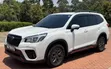 Subaru Forester 2019 Nyeupe - 3