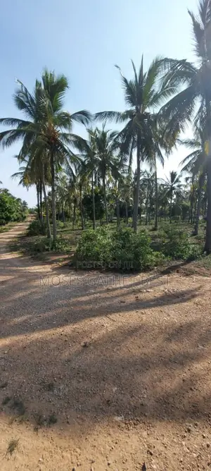 Eneo la Eka 1, Malindi Ngomeni Coco Beach