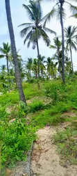 Eneo la Eka 1, Malindi Ngomeni Coco Beach - 3