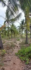 Eneo la Eka 1, Malindi Ngomeni Coco Beach - 4