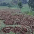 Eneo la Eka 6 Zenye Rutuba kwa Uuzaji Keringet - 1