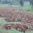 Eneo la Eka 6 Zenye Rutuba kwa Uuzaji Keringet - 2