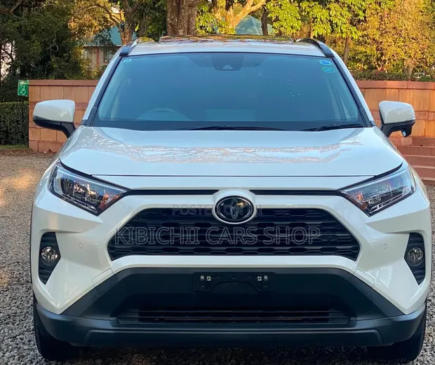 Toyota RAV4 2019 Nyeupe - 1