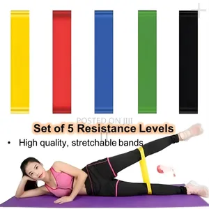 5-in-1 Premium Resistance Bands Set