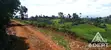 1 Acre Tea Farm Land for Sale in Gituru-Kiganjo, Gatanga - 2