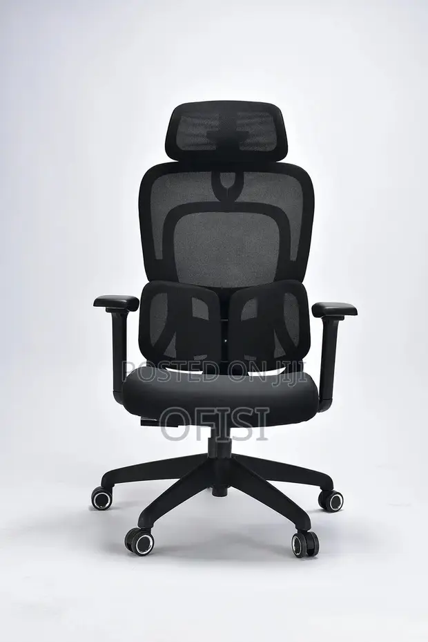 Kiti cha Ofisi cha Ergonomic chenye Msaada wa Mgongo - 1