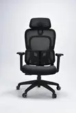 Kiti cha Ofisi cha Ergonomic chenye Msaada wa Mgongo - 1