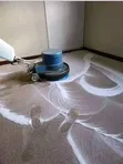 Xenon Cleaners: Usafi wa Nyumba na Biashara na Fumigation - 3
