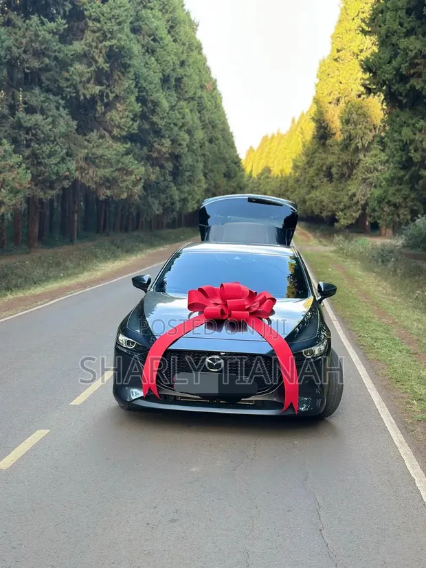 Ribbon ya Kitambaa cha Gari - Mpya Kabisa - 1