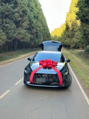 Ribbon ya Kitambaa cha Gari - Mpya Kabisa
