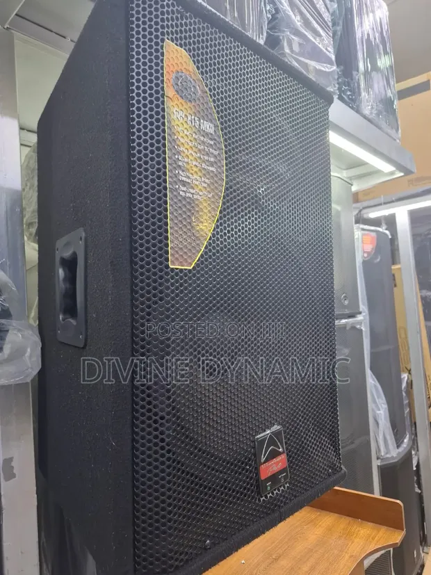 15-Inch Mid-Range Speaker - 1