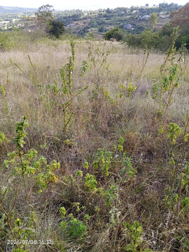 Eneo la Eka 100 Linauzwa Yatta Kiusyani - 1