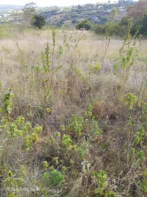 Eneo la Eka 100 Linauzwa Yatta Kiusyani