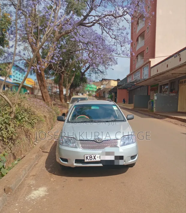Toyota Corolla Fielder 2008 Silver - 1