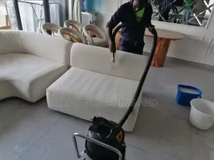 Xenon Cleaners: Huduma za Usafi na Fumigation za Kitaalamu