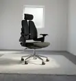 Lumbar Support Orthopedic Office Chair - Brand New - 1