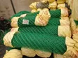 Green PVC Coated Chain Link Fence Mesh Roll - 1