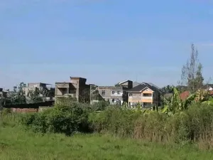 Prime Plots for Sale in Ruiru Mugutha with Lipa Pole Pole