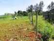 Prime Plots for Sale in Ruiru Mugutha with Lipa Pole Pole - 3