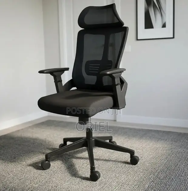 Ergonomic Office Chair with Adjustable Arms - 1