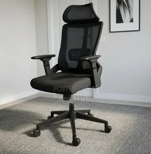 Ergonomic Office Chair with Adjustable Arms