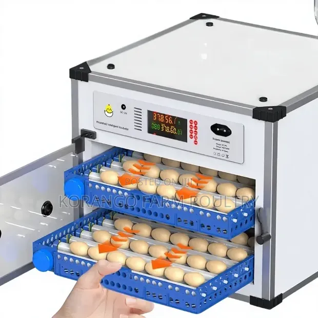 204 Egg Incubator Moja kwa Moja - 1