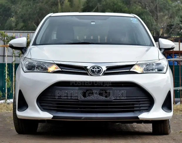 Toyota Axio 1.5 G 2WD 2019 - Haijisajili - 1