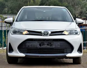 Toyota Axio 1.5 G 2WD 2019 - Haijisajili