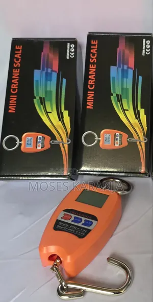 200kg Digital Crane Scale