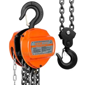 Mashine ya Chain Block ya Viwandani Mtaalamu Tani 2