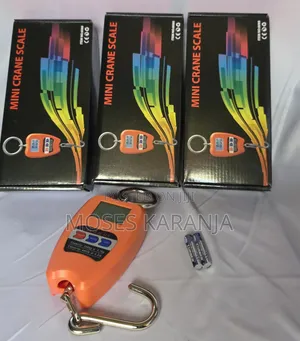 Heavy-Duty 200kg Hanging Crane Scale