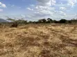 Kiota cha 1/4 cha Makazi kwa Uuzaji Kimuka, Ngong - 1