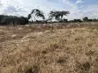 Kiota cha 1/4 cha Makazi kwa Uuzaji Kimuka, Ngong - 2