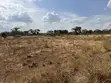 Kiota cha 1/4 cha Makazi kwa Uuzaji Kimuka, Ngong - 3